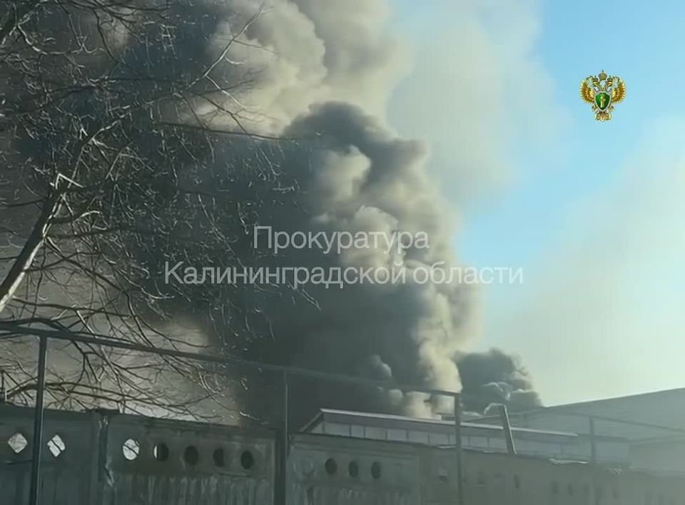 ����������� ������������ ������������ ������������� ���������� ������� � ������������