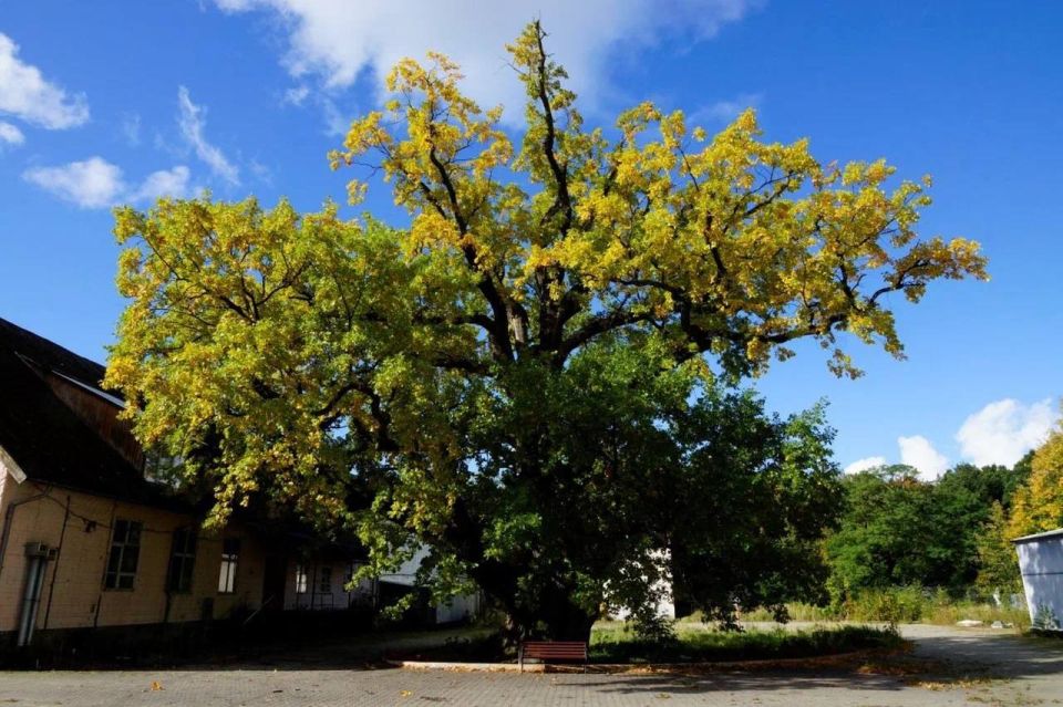 ������� �������������: �� ����� ��������� ������� � �������� �� ������� � �������� ��� ���������� ��� 800-������ ���