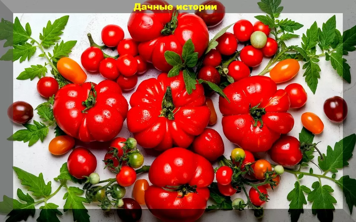 Инновационные методы, которые преобразят вкус ваших томатов