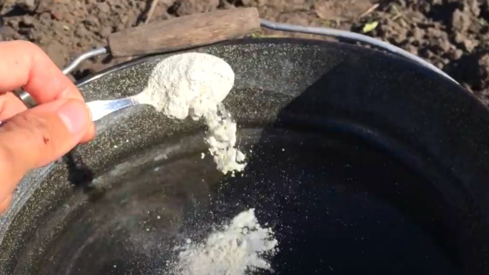 ������ ���������� ������: ��� ������ ����������� ����� ��� ��������