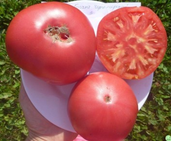 ����� ������������ ������: �������� �������������� � ������ �� �����