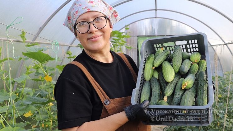 ��� �������� ����� ������� � ������� ������ �� ����������