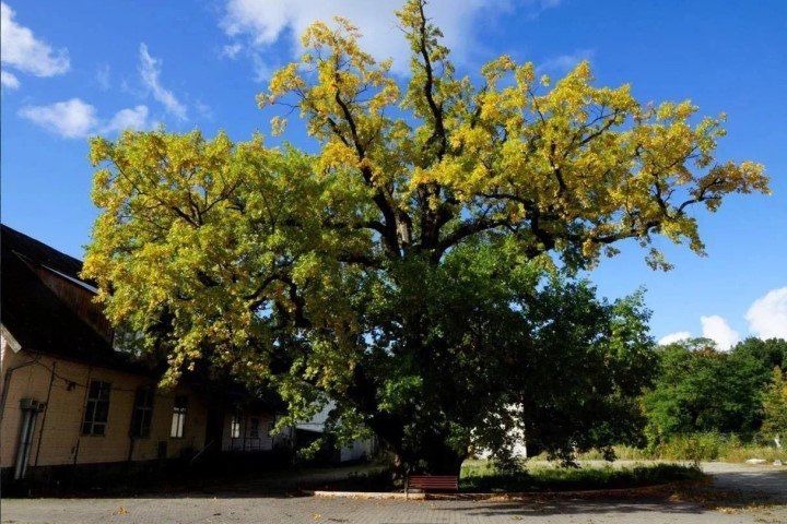 ��������������� ���������� ������ ��������� ������������ ���