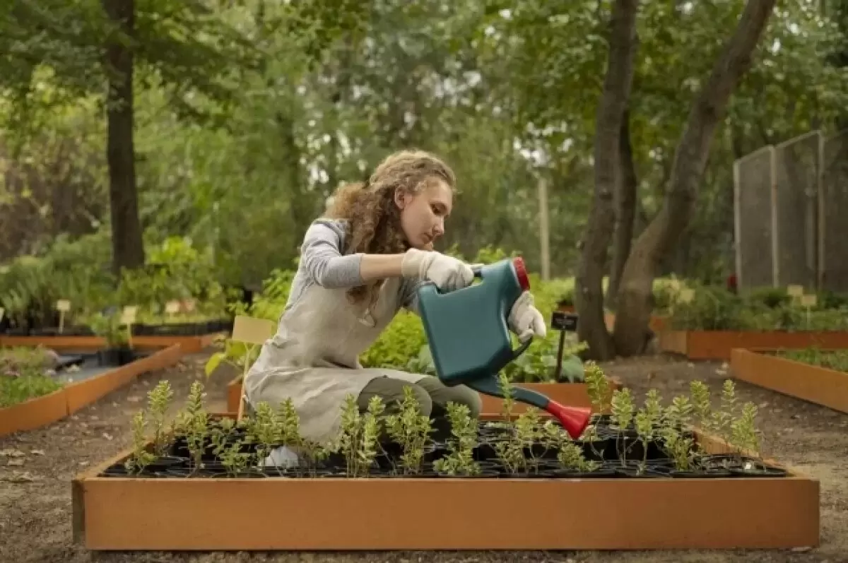 Томичам рассказали о новых правилах сбора растений и грибов