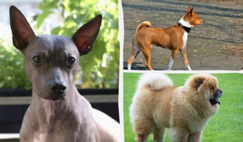 �������, ������� �� �������� ����� ������ � ����: ������ "������������" ������ �����