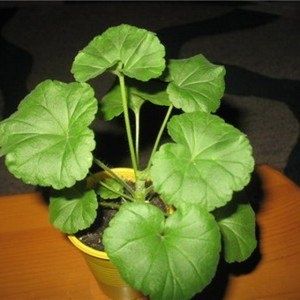 ������: ����� ����� � ��������� ��� ��������� ������