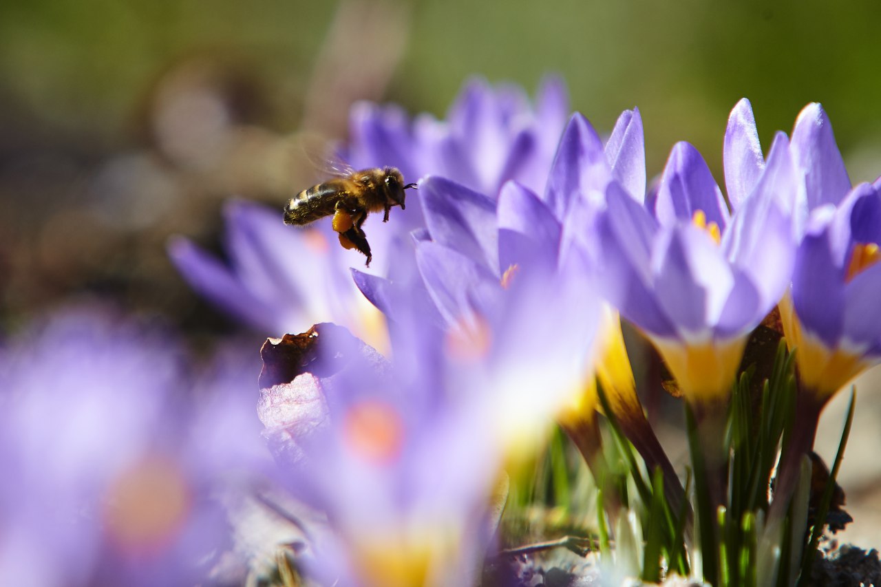 Погода в Калининграде и области на 12 апреля
