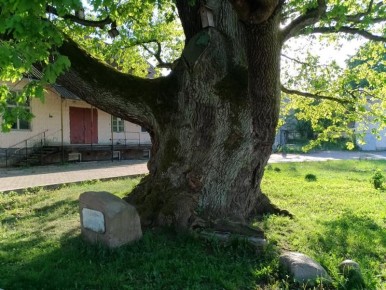 ��� ��������� � ��������� ������������� ������� � ������� ���