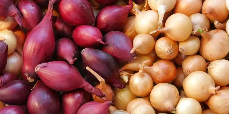 ���: �� ����� �� ������� ������