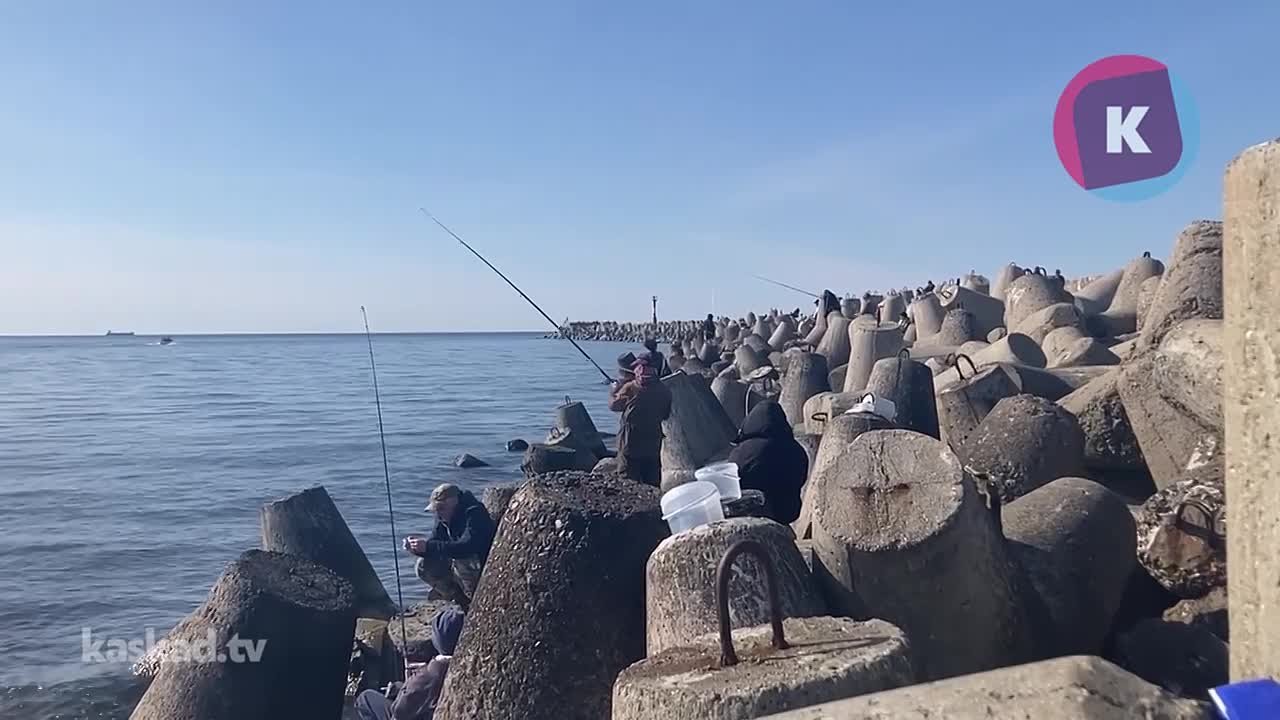 В Балтийске начался рыбный бум