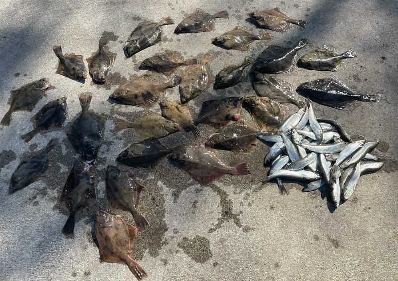 ������ ���������� ������� �� ������� ����� � ��������������� �������