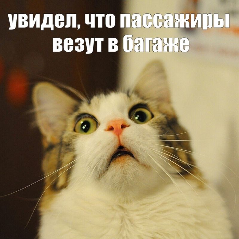 ������������� �������� � ����� ������� �� ��������������� ������� �������� ���������, ������������� ����������� � ������