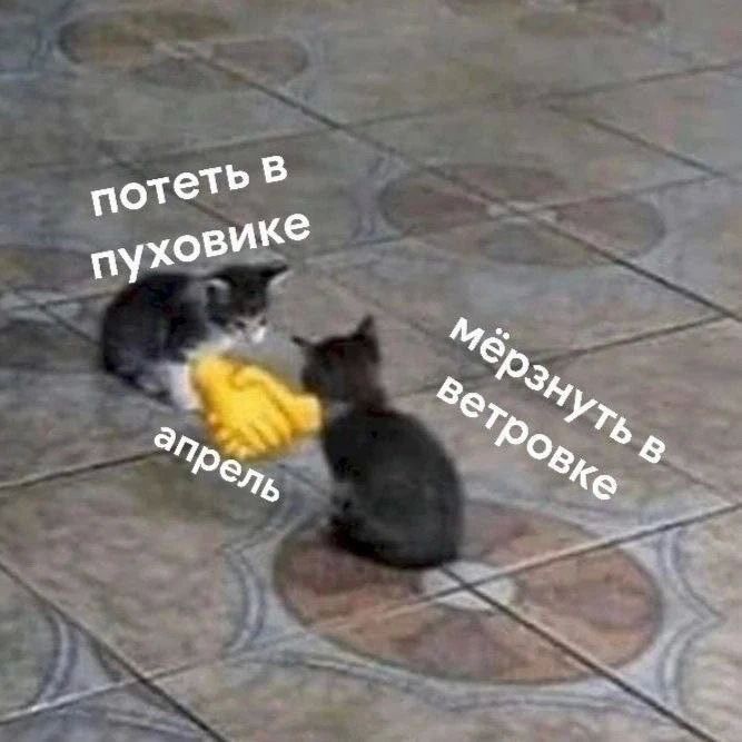 �������� �����-�� ��� �����