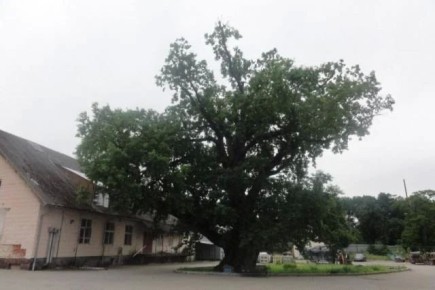 ������� �� ��������� ����� � ��������� �������� � �������� � ������� ��������������