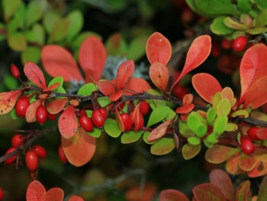 ��� �������� ������� ������ ����: ������� ����� ��� �������� �������