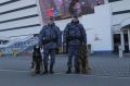 Калининградские росгвардейцы обеспечили безопасность футбольного матча Российской премьер-лиги
