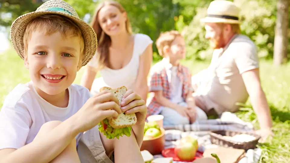 Летние пикники без следов: как спасти одежду от пятен