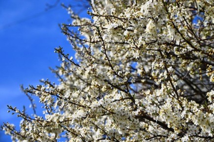 � ������������ �������� �����!