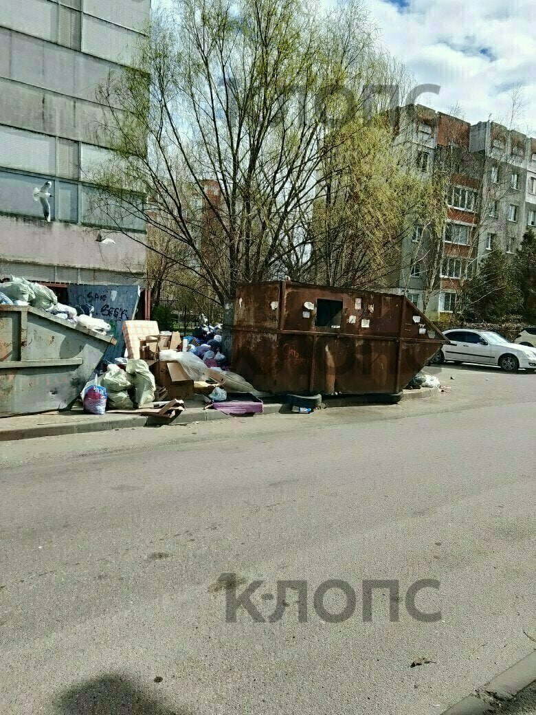 На калининградских улицах вновь замечены переполненные отходами контейнеры