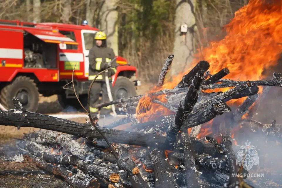 ������� �������������: � 15 ������ �� 31 ��� � ������� ������ ������ ��������������� �����