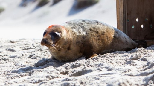 �������� ���������������� �������� ����������, ������ �� ��������� ���� ������ ������ ���� ������ �������