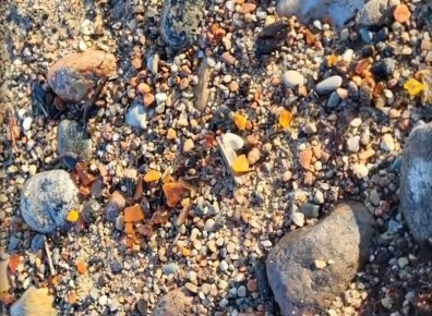 ������� ����������!�: ������� ����� ��������� ������� �������� �������