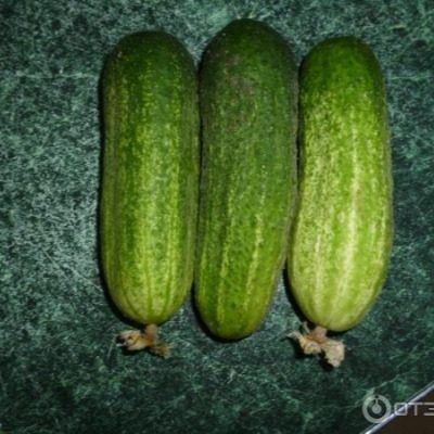 ��������� ���������: ��������� ����� ��� ������ �������