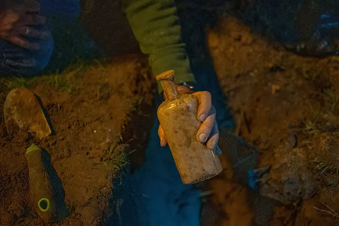 Коровяк: история вечной всхожести и тихой стойкости природы