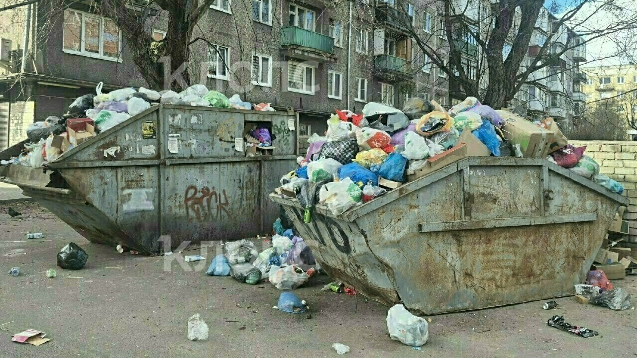 На калининградских улицах вновь замечены переполненные отходами контейнеры На калининградских улицах вновь замечены переполненные отходами контейнеры
