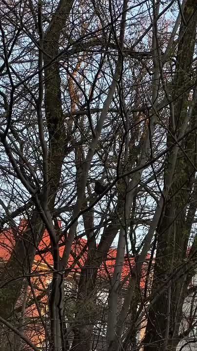 �������� ����, ��������� ������ ������������ ������ ���� ������� ��������� �����