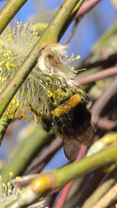 ������� � ������ ������ ������, � �������, ��� ���� ��� �� ������