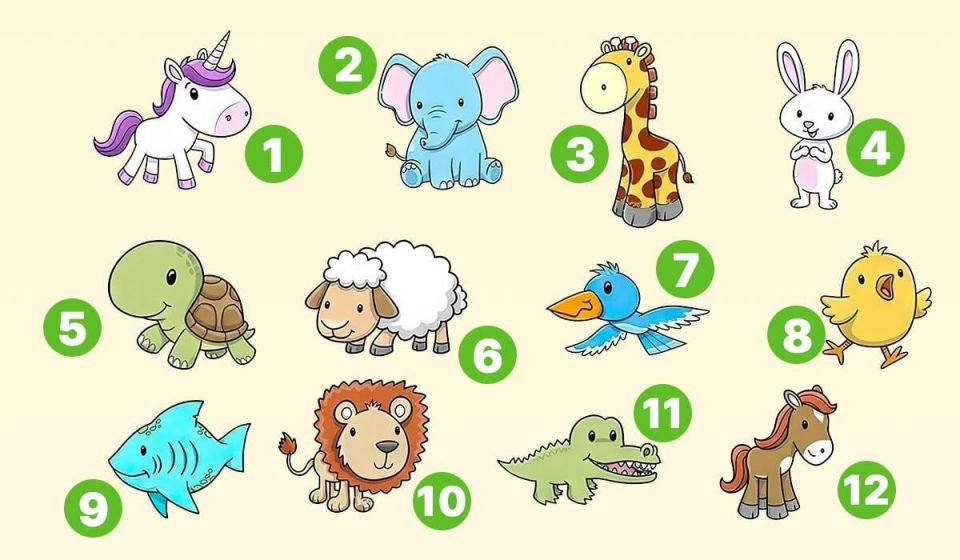 ��������������� ����: �������� ���� ��������