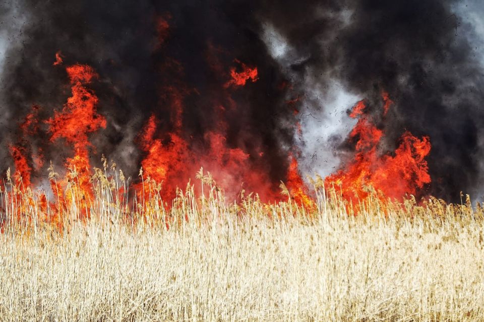 ���������������� ������ ��������� ������ ������������� ��-�� ����� ����� � ������� ������