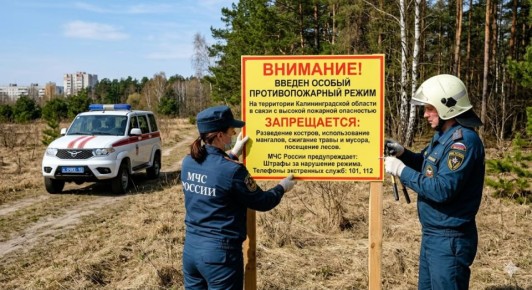 � ��������������� ������� �������� ������ ��������������� �����