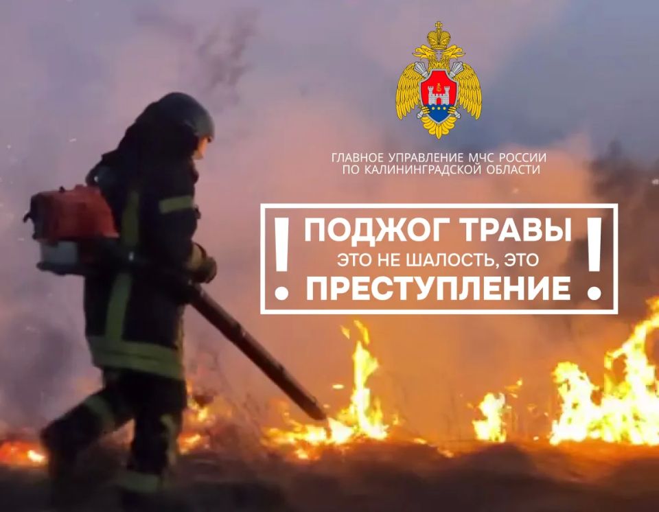 � ��������������� ������� �������� ������ ��������������� �����