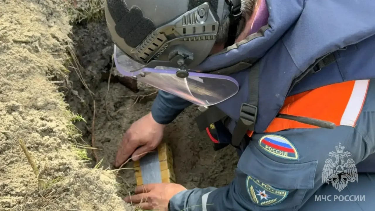 На Балтийской косе обнаружен склад боеприпасов времен войны На Балтийской косе обнаружен склад боеприпасов времен войны