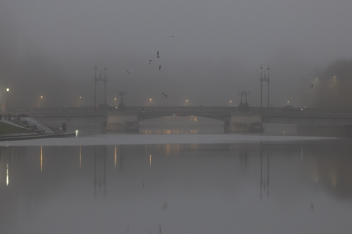 В ближайшие три часа на Калининградскую область опустится густой туман