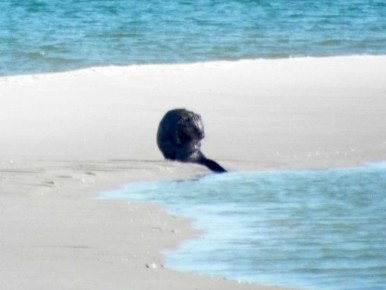 ����� ������� ��������� �����