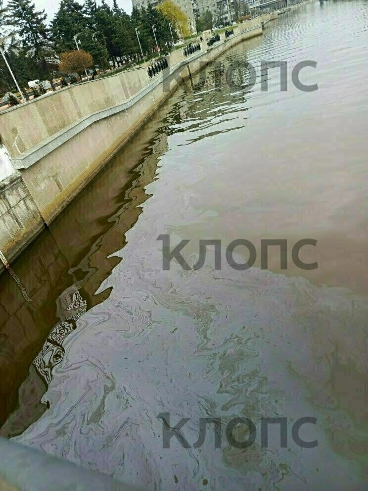 Река Преголя в Калининграде покрылась радужными маслянистыми разводами Река Преголя в Калининграде покрылась радужными маслянистыми разводами