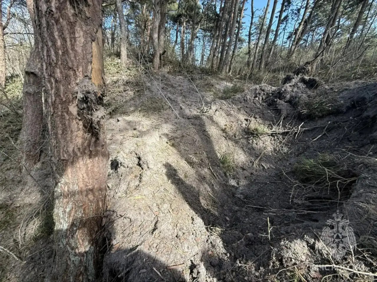 На Балтийской косе обнаружен склад боеприпасов времен войны На Балтийской косе обнаружен склад боеприпасов времен войны