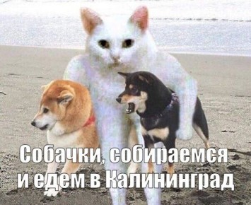 ����������� �������� ������� ���������� �����������, ���� ������� ���� � ���������