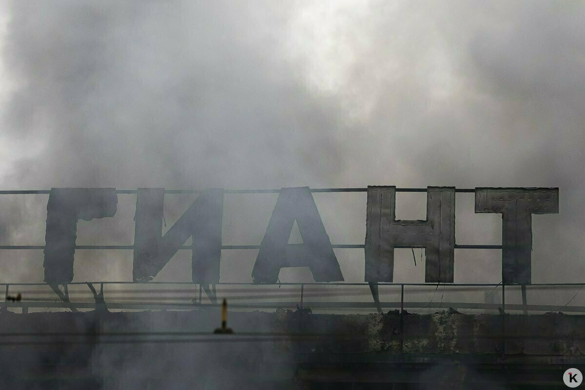 В мае здание сгоревшего ТЦ «Гиант» на Московском проспекте планируют закрыть фасадной сеткой