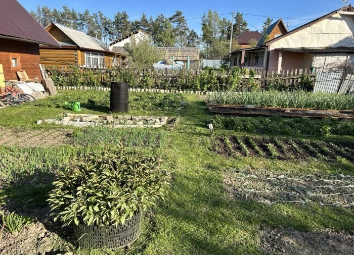 ��� ������ � ������� ���������� ������ ������� � �������� �����