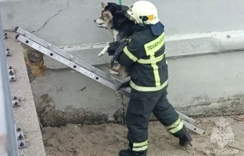 � ������� ����������� �������� ������ ������