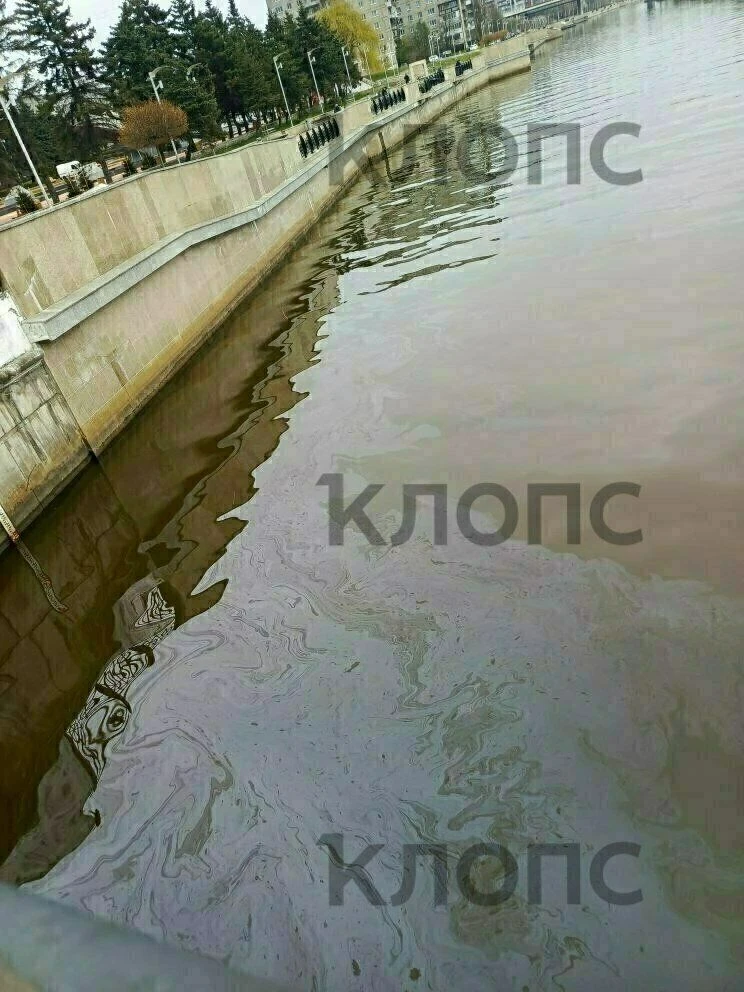 В Калининграде Преголя покрылась маслянистыми пятнами