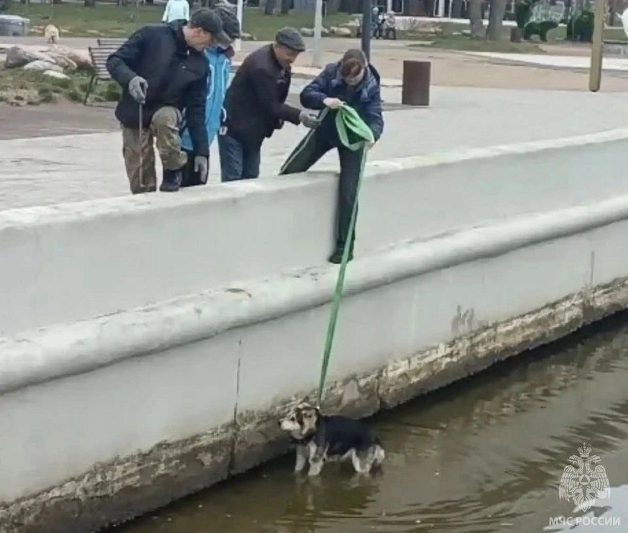 � ������� ��������� � ������� ����� �� ������� ������ ���