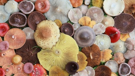 �����: ������ ����������� ����� �� ����