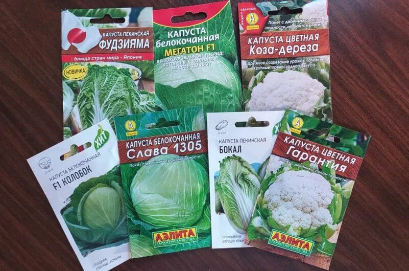 ���������� ������� ������� � ������� ������