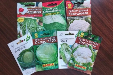 ���������� ������� ������� � ������� ������