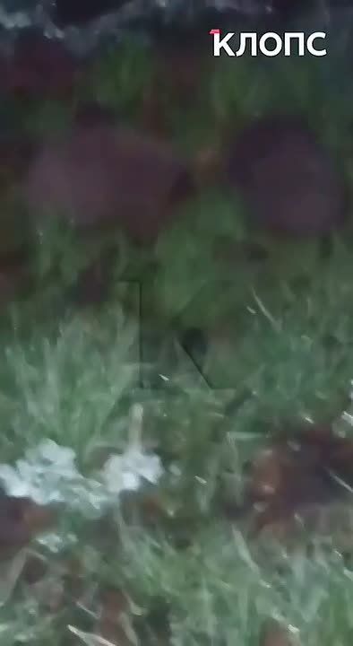 ������ �������� ���������� ����� ����� ���� ������